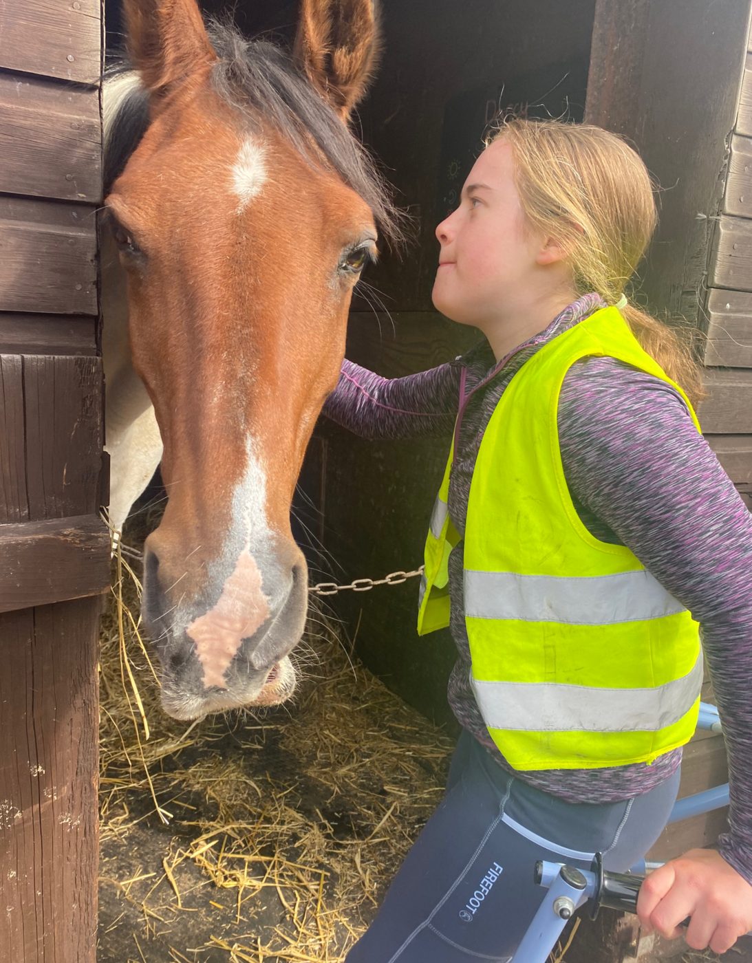 Young person spending time with a horse at an equine setting